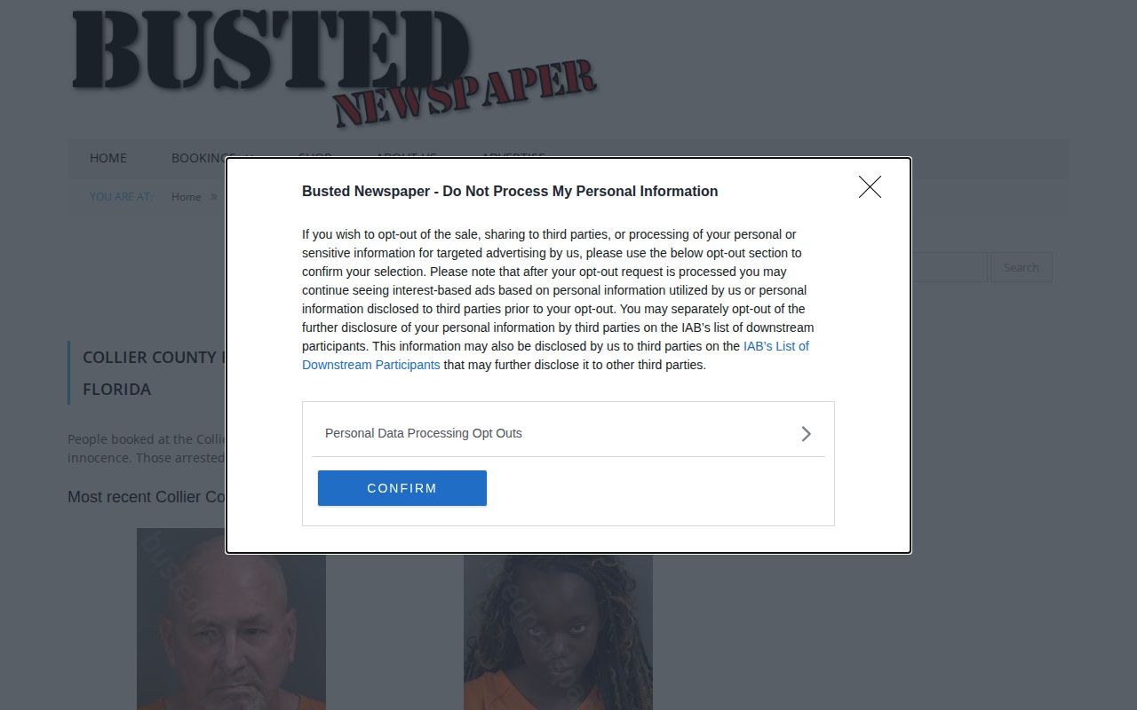 Unofficial Busted Newspaper Collier County booking page interface